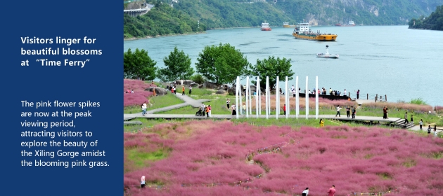 Visitors linger for beautiful blossoms at “Time Ferry”
