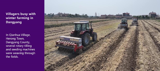 Villagers busy with winter farming in Dangyang