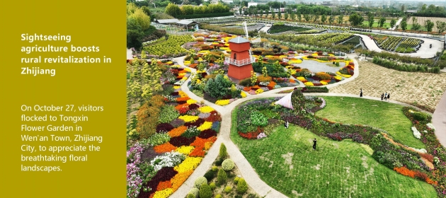 Sightseeing agriculture boosts rural revitalization in Zhijiang
