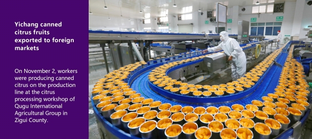 Yichang canned citrus fruits exported to foreign markets