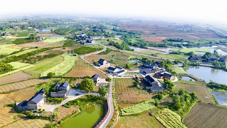当阳王店镇泉河村