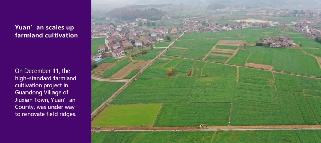 Yuan’an scales up farmland cultivation