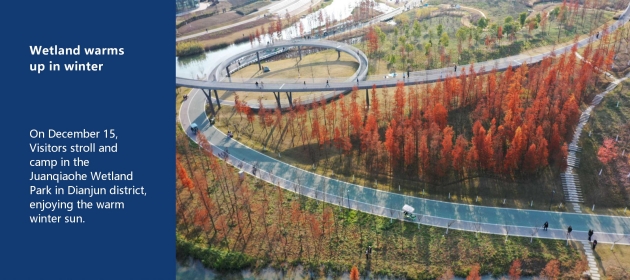 Wetland warms up in winter