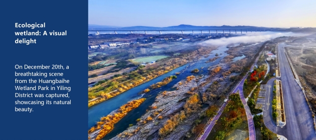 Ecological wetland: A visual delight