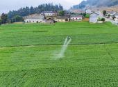 Drones employed for farming in Yichang villages