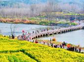 Yuan’an Marathon kicks off