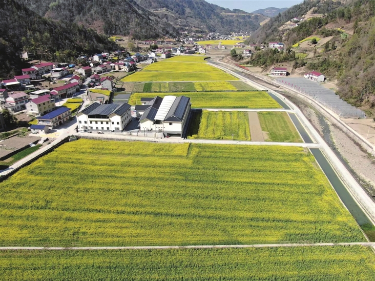 渔峡口镇枝柘坪村