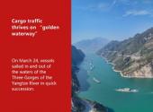 Cargo traffic thrives on “golden waterway”