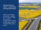 Herong listed as Hubei’s top flower viewing destination
