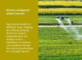 Drones safeguard wheat harvest