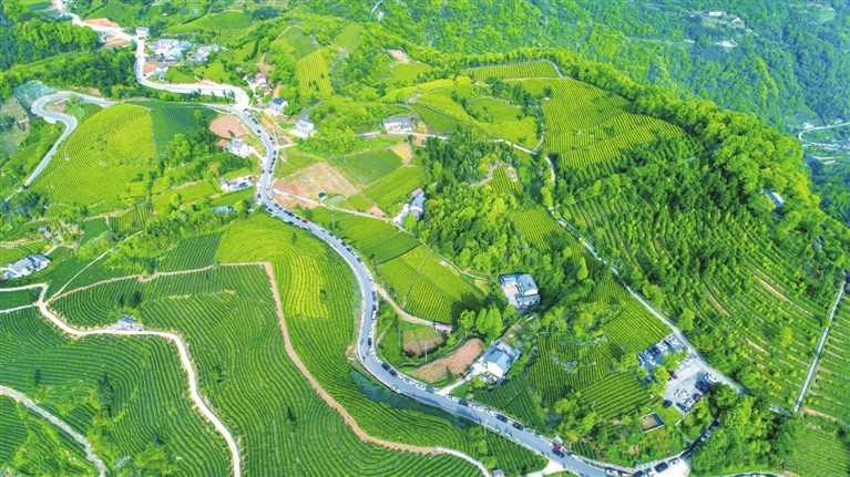 王家畈镇全福河村