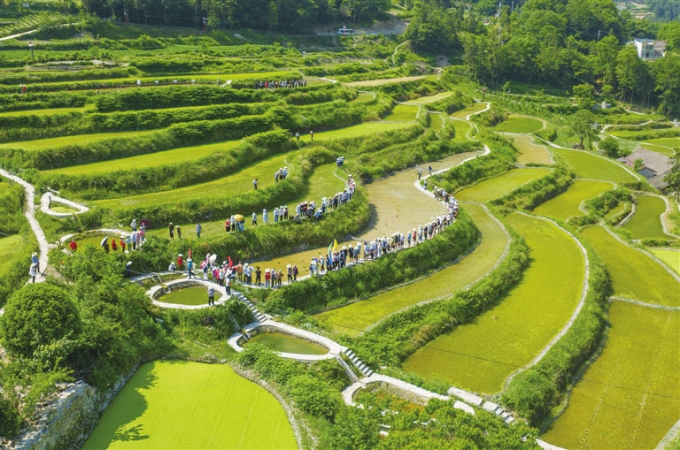秭归县两河口镇二甲村