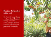 Dianjun: flat peaches selling well