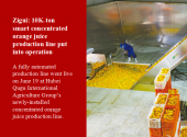 Zigui: 10K-ton smart concentrated orange juice production line put into operation