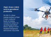 Zigui: drones widely used in agricultural production