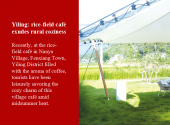 Yiling: rice-field ​café exudes rural coziness