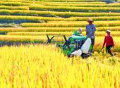 Yichang in pictures
