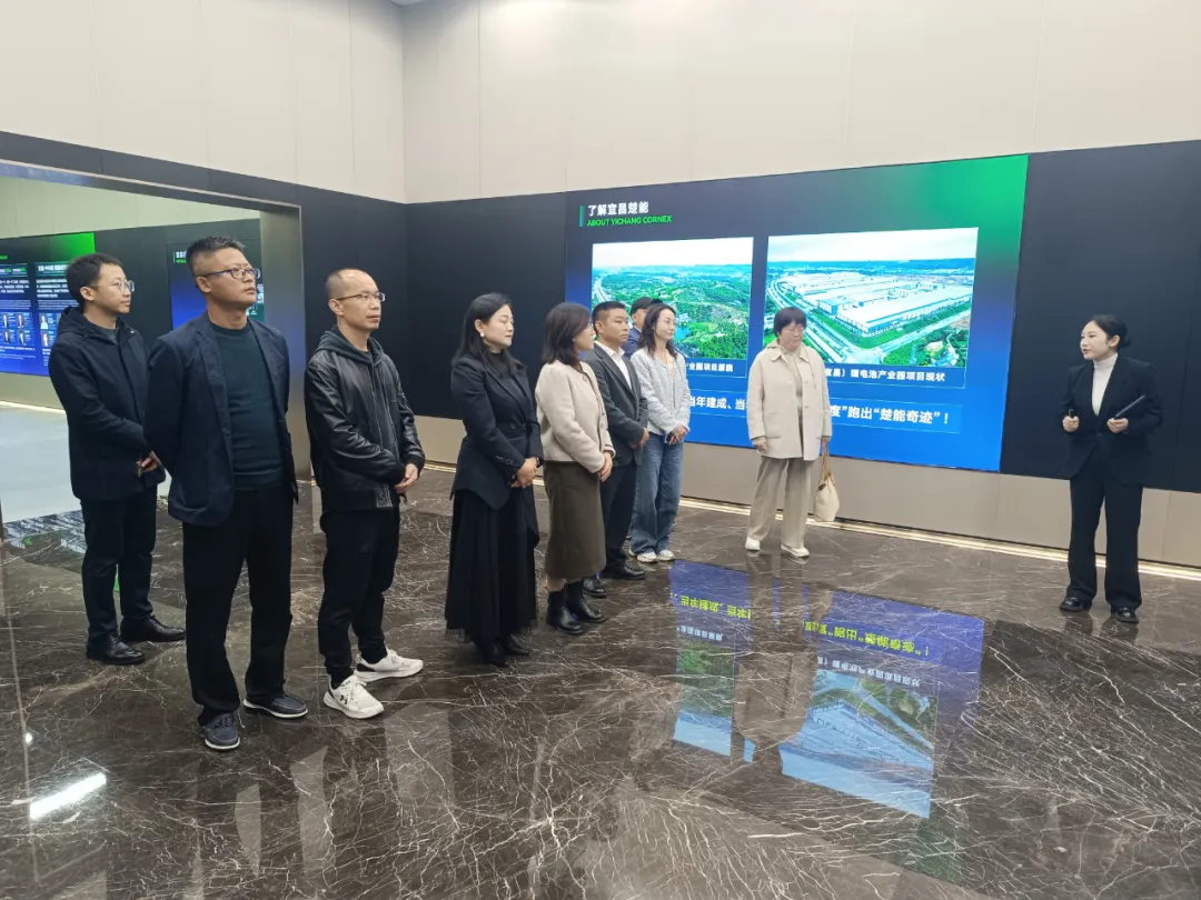 民建荆州、宜昌两地高校基层组织开展学习交流共建活动