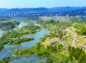 Yichang boasts flourishing wetland park ecosystem