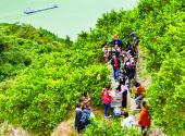 Zigui citrus orchards welcome overseas vloggers