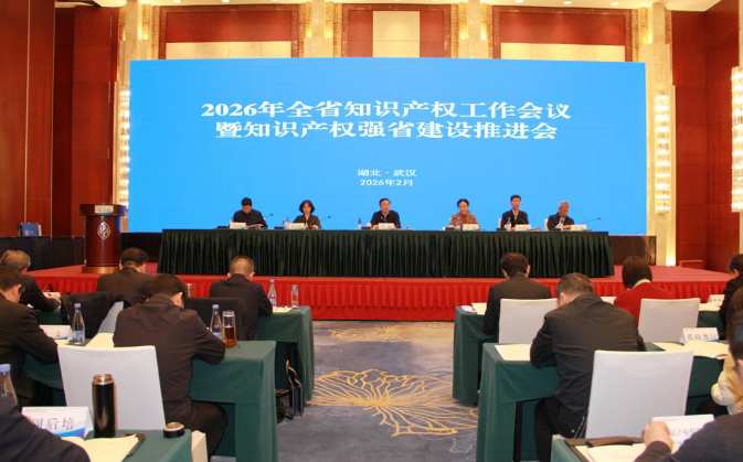 2025年宜昌知识产权工作年度“高光时刻”