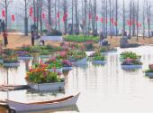 Bulb flower exhibition welcomes Spring at Juanqiao River Wetland Park