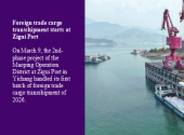 Foreign trade cargo transshipment starts at Zigui Port