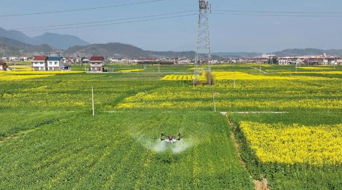 宜昌市2026年春季农业生产工作新闻通气会