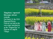 Xingshan: rapeseed blossoms attract crowds