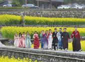 Xingshan: rapeseed blossoms attract crowds