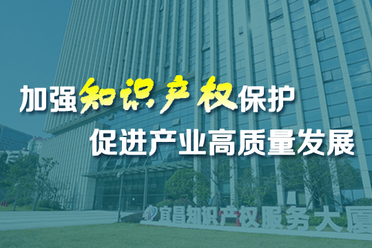 宜昌：加强知识产权保护 促进产业高质量发展