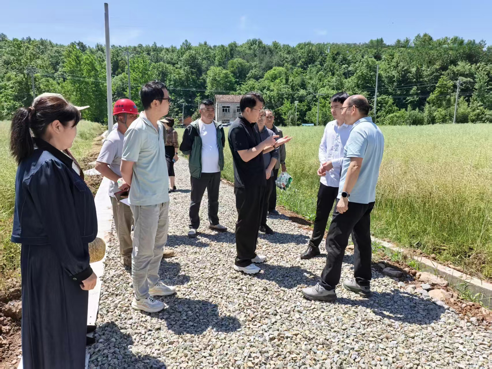 孙劲松赴远安县、当阳市调研农业农村领...