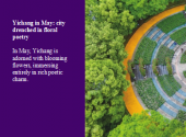 Yichang in May: city drenched in floral poetry