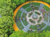 Yichang in May: city drenched in floral poetry