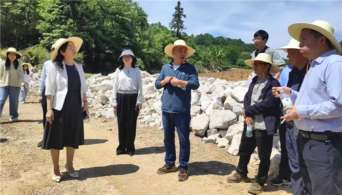 长阳五月“5号见”  代表助农在田间