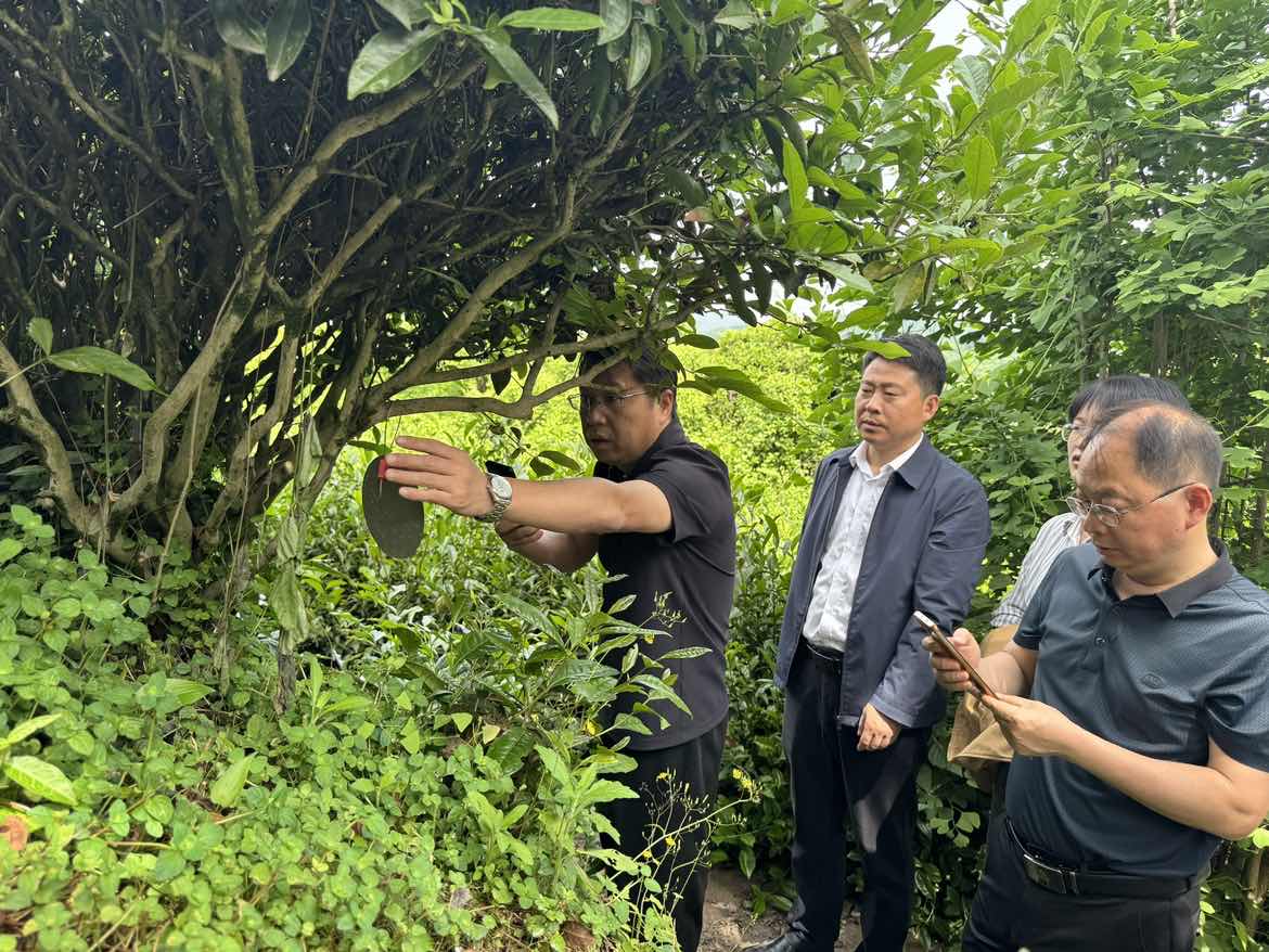 孙劲松赴五峰自治县调研农业农村工作