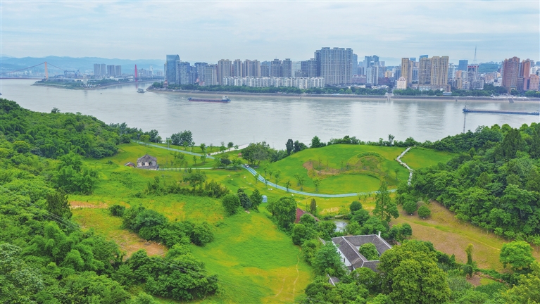 公园绿地共享空间迎来新成员